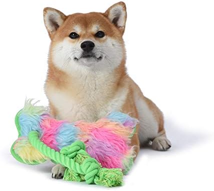 Dreamworks Trolls Oxford Bone Squeak צעצוע לכלבים | Trolls Meadow Trolls צעצוע של כלבים חותך עם חבל | צעצוע